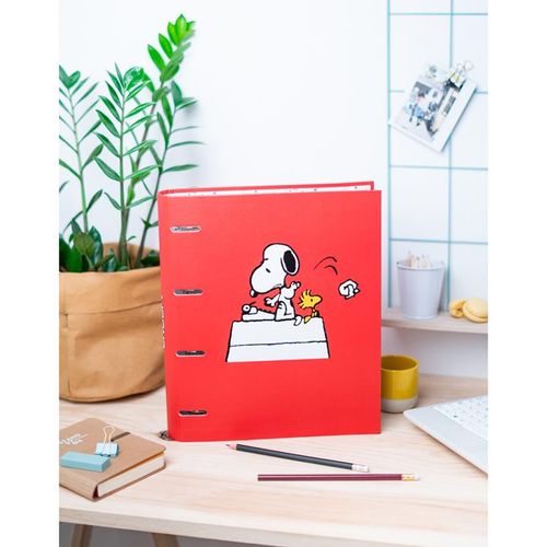 Snoopy - Segregator na Arena.pl