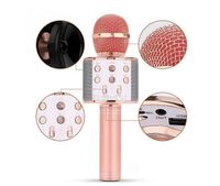 MIKROFON KARAOKE WS858 GŁOŚNIK EFEKTY ECHO Z NAGRYWANIEM MIEDZIANY