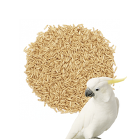 Owies bezłuskowy Podstawa zbilansowanych mieszanek dla ptaków 5 kg