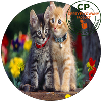 Opłatek na tort Koty