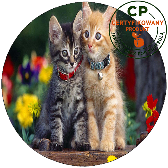 Opłatek na tort Koty zdjęcie 1