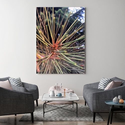 Obraz na płótnie – Canvas, sosnowe igły 60x90 na Arena.pl