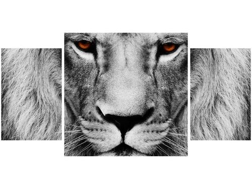 80X40CM LWIE SPOJRZENIE TRÓJ OBRAZ na Arena.pl