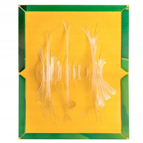 30x SILNY LEP NA MYSZY PUŁAPKA Z KLEJEM ŁAPKA SZCZURY MYSZOŁAPKA na Arena.pl