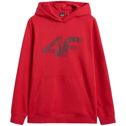 Bluza 4F M 4FWMM00TSWSM1766 062S L na Arena.pl
