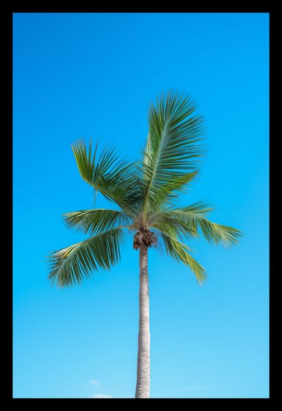 Plakat 20x30cm Wyżyny Nieba zdjęcie 2