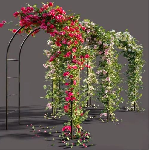 pergola łuk 140x38x240cm na Arena.pl