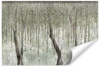Fototapeta Do Salonu Drzewo WIERZBA Beton Liście Abstrakcja 300cm x 210cm