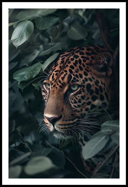 Plakat 53x81cm Schowany w Cieniu zdjęcie 3
