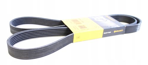 CONTINENTAL PASEK WIELOROWKOWY BMW E46 M52 M54 na Arena.pl