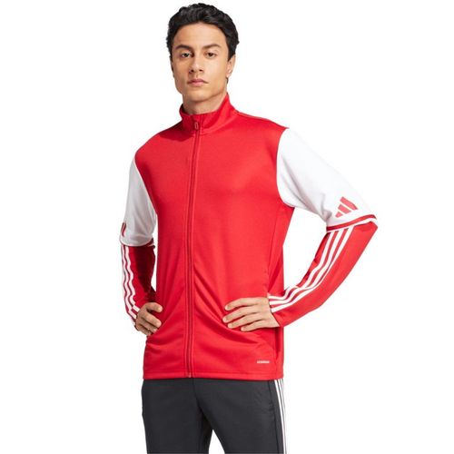 Bluza adidas Squadra 25 Training M JD2979 S na Arena.pl