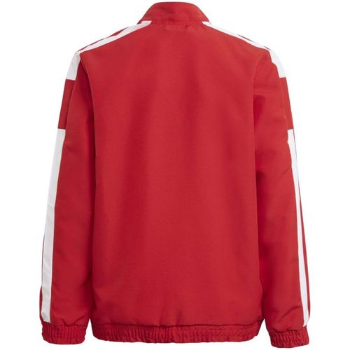 Bluza adidas Squadra 21 Presentation Jacket Jr GP6439 128cm na Arena.pl