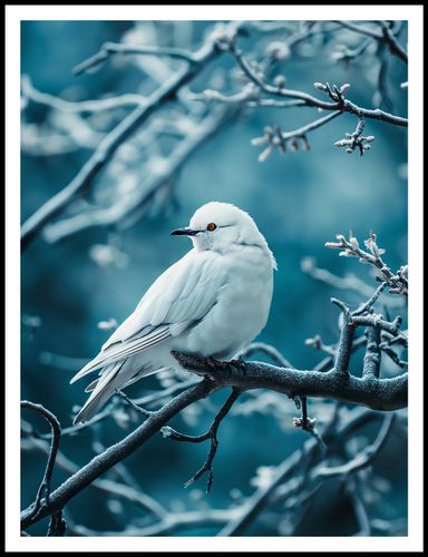 Plakat 75x100cm Perłowy Ptak na Arena.pl