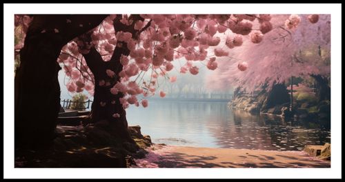 Plakat 91,3x44,5cm Spokój Sakury na Arena.pl