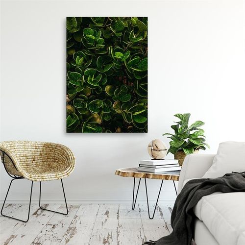 Obraz na płótnie – Canvas, Botanika zieleń 60x80 na Arena.pl
