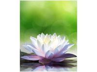 40X50CM BAMBUS KAMIENIE OBRAZ