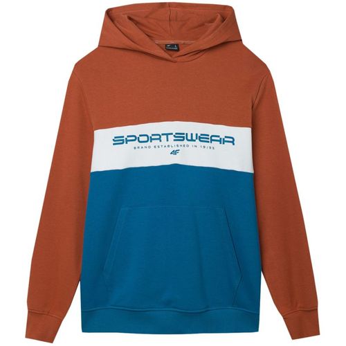 Bluza 4F M 4FWSS24TSWSM1032 81S M na Arena.pl