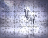 Puzzle Konie