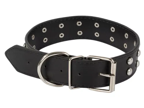 Obroża dla psa z ćwiekami ekoskóra regulowana l na Arena.pl