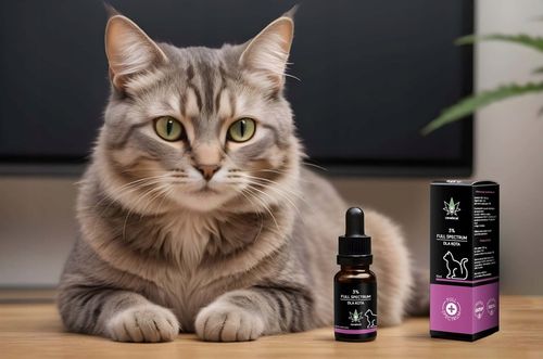 Olejek CBD Full Spectrum 3% 10 ml dla Kotka Kota od farmaceuty bezpieczny na Arena.pl