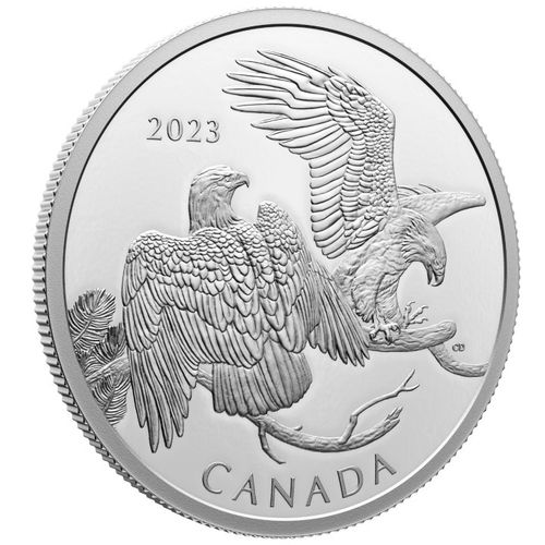 Canada: The Striking Bald Eagle $30 Srebro 2023 Proof na Arena.pl