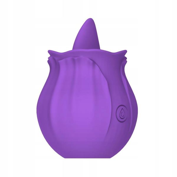 Purple Rose zdjęcie 5