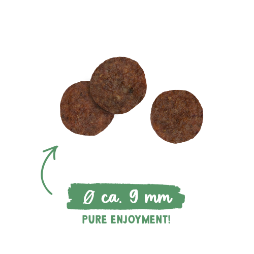 bosch sanabelle sensitive drób 8kg na Arena.pl