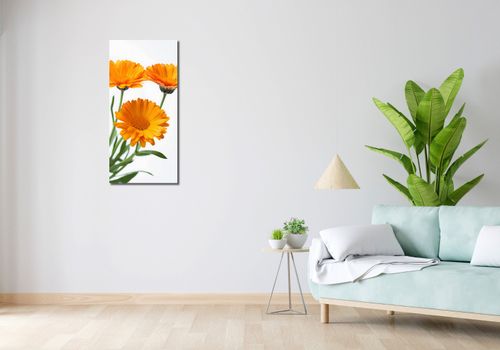 Obraz 40x90cm Słoneczne Kalendule na Arena.pl