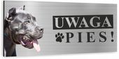 Tabliczka UWAGA ZŁY PIES - PITBULL aluminiowa 3D