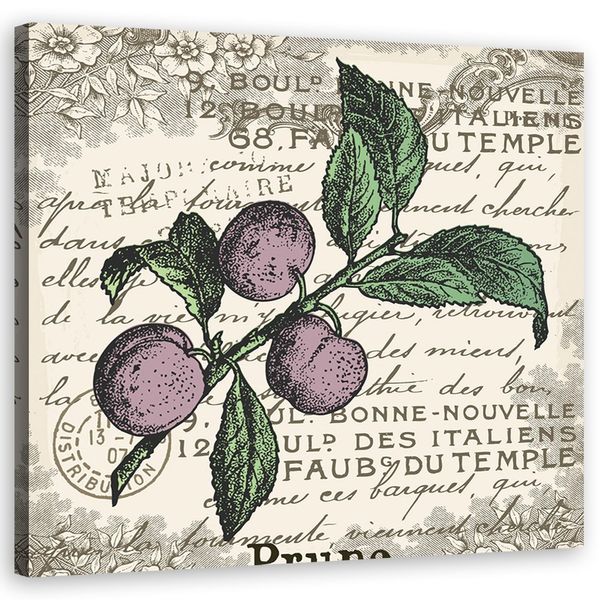 Emaga Obraz na płótnie, Śliwka vintage - 40x40 zdjęcie 1