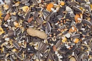 Karma dla papug dużych 10 kg zdjęcie 1