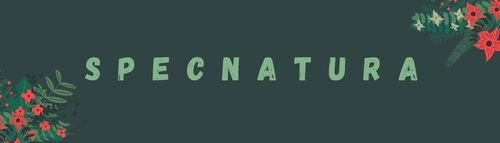 Glistnik Górski Ekstrakt Mocny Кurzajki Brodawki Modzele Włókniaki 10ml na Arena.pl