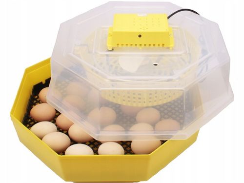 INKUBATOR 60 JAJ WYLĘGARKA KLUJNIK Cleo 5 na Arena.pl