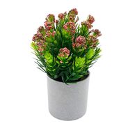 ROŚLINA OZDOBNA W DONICZCE SZTUCZNE KWIATY 20cm różowo zielony kwiat