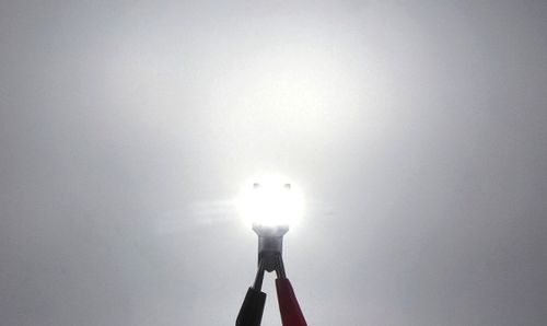 żarówka LED W16W, T15 12-24V 100% CANBUS biała bez błędu na Arena.pl