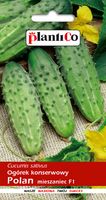 NASIONA Ogórek Gruntowy Polan Konserwowy Do Kwaszenia 5g PLANTICO 401235