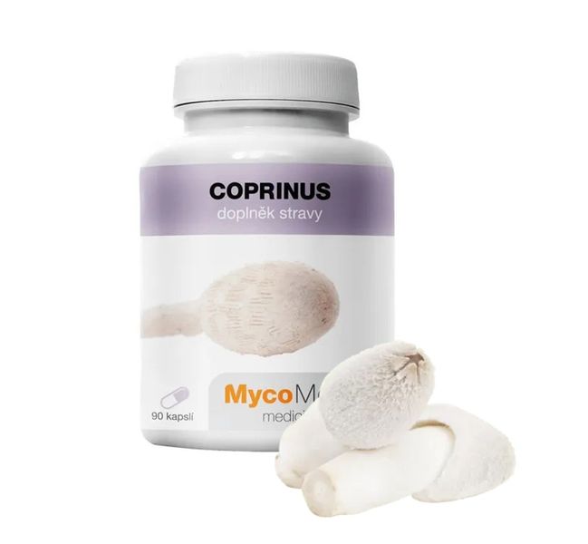 .Grzyb Coprinus na alkoholizm.. zdjęcie 1