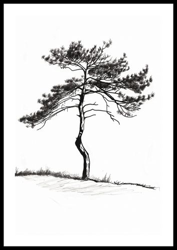 Plakat 40x60cm Samotna Sosna na Arena.pl