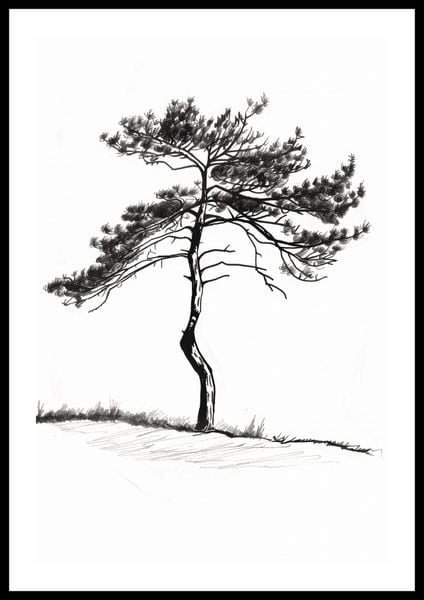 Plakat 40x60cm Samotna Sosna zdjęcie 3