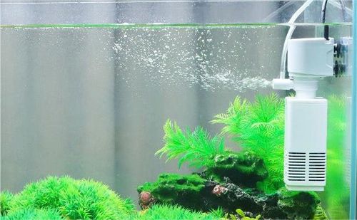 NANO FILTR WEWNĘTRZNY DO AKWARIUM 10-60l 500 l/h 6W na Arena.pl