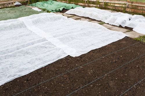 AGROWŁÓKNINA BIAŁA GF 1,6x30m 50g Jesienno/ZIMOWA OKRYCIOWA OTULINA na Arena.pl