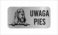 GRAWER Tabliczka nierdzewna 20x10 cm UWAGA PIES Bloodhound