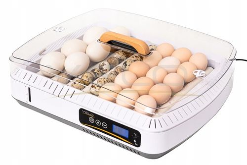 INKUBATOR AUTOMATYCZNY VELO na 35 JAJ do KURZYCH INDYCZYCH GĘSICH KACZYCH na Arena.pl