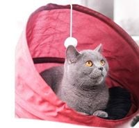 Legowisko dla kota budka domek z tunelem składany