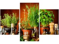 product-compare-58646572