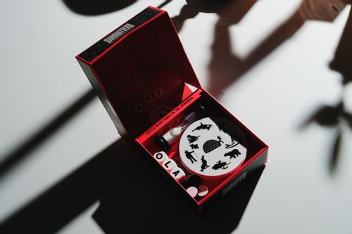 Gra Silhuetters EN/PL na Arena.pl