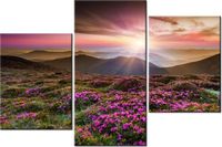 product-compare-58699532