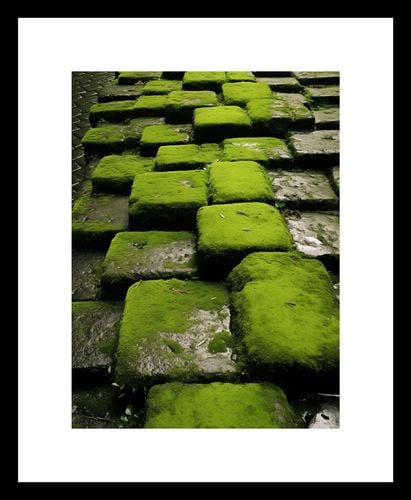 Plakat 15x20cm Zielona Mozaika na Arena.pl
