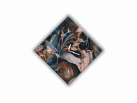 product-compare-60769221