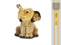 product-compare-55922981